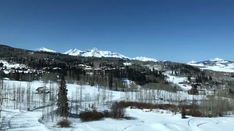 Sun Snow Pine Tree distant Video stock 156941120