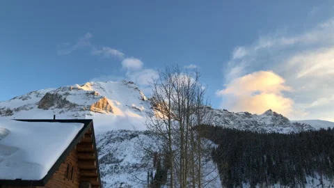 Sun Snow Pine Tree Golden hour Stock Footage 156941222