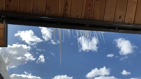 Sun Snow Pine Tree icicles and Sky Video stock 156941213