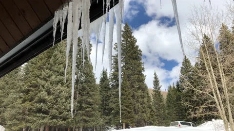 Sun Snow Pine Tree icicles Stock Footage 156941245