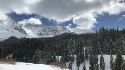 Sun Snow Pine Tree Mountain Clouds Video stock 156941303