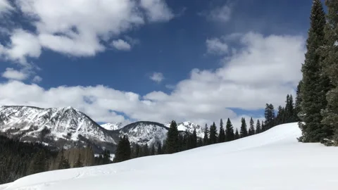 Sun Snow Pine Tree Mountain Sky Stock Footage 156941332