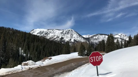 Sun Snow Pine Tree Mountain Stop Sign Stock Footage 156941367