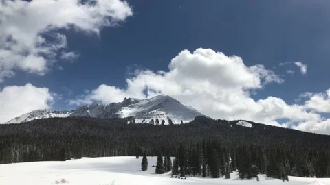 Sun Snow Pine Tree Mountain Video stock 156941385