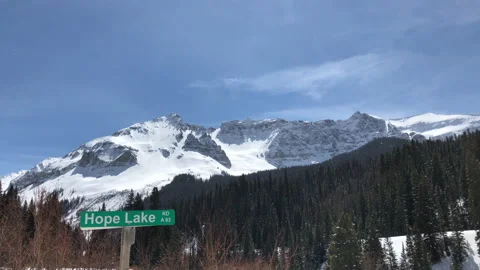 Sun Snow Pine Tree Sign Video stock 156941503