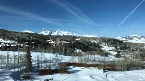 Sun Snow Pine Tree Ski Video stock 156941522