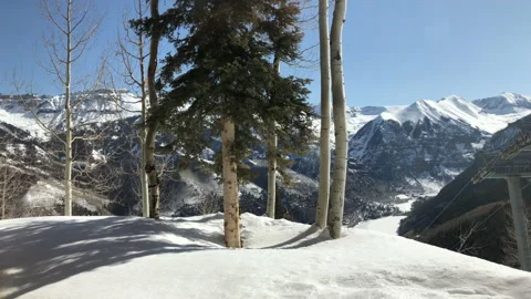 Sun Snow Pine Tree Valley Stock Footage