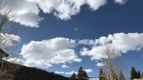 Sun Snow Pine Tree Winter Sky Video stock 156941616