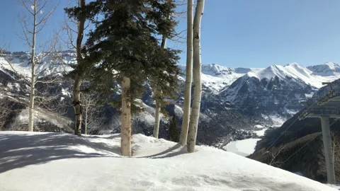 Sun Snow Valley Pine Tree Video stock 156941755