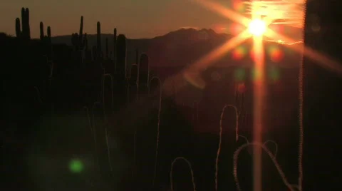 Sun on socorro Stockbeeldmateriaal 309556