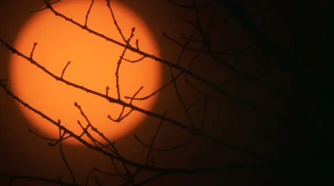 Sun solar filter Stock-Footage 32999551