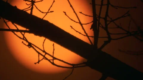 Sun solar filter Video stock 32999664