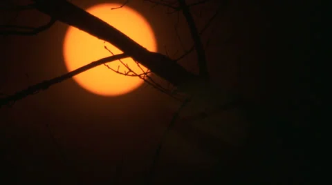 Sun solar filter Video stock 32999770