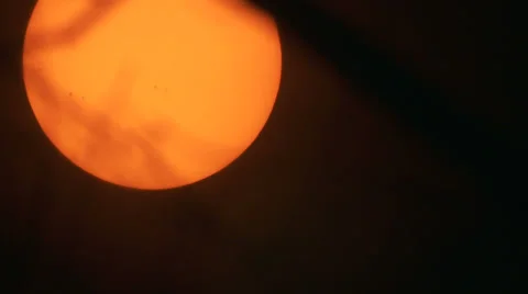 Sun solar filter Video stock 32999923