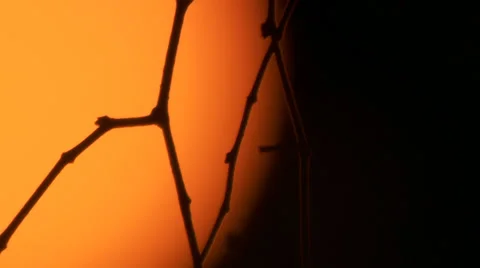 Sun solar filter Stock Footage 33000346