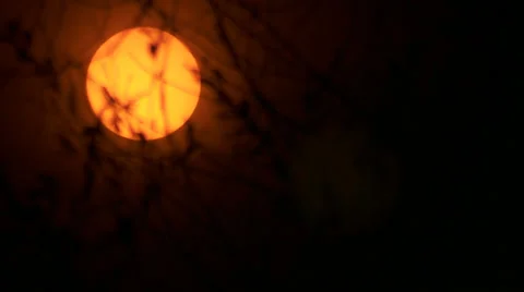 Sun solar filter Video stock 33000411
