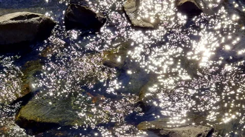 Sun sparkles stream water Stock Footage 337057456