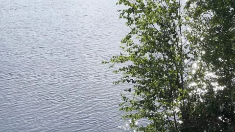 Sun sparkling on Oulujoki river, Oulu Finland Stock-Footage 247172903