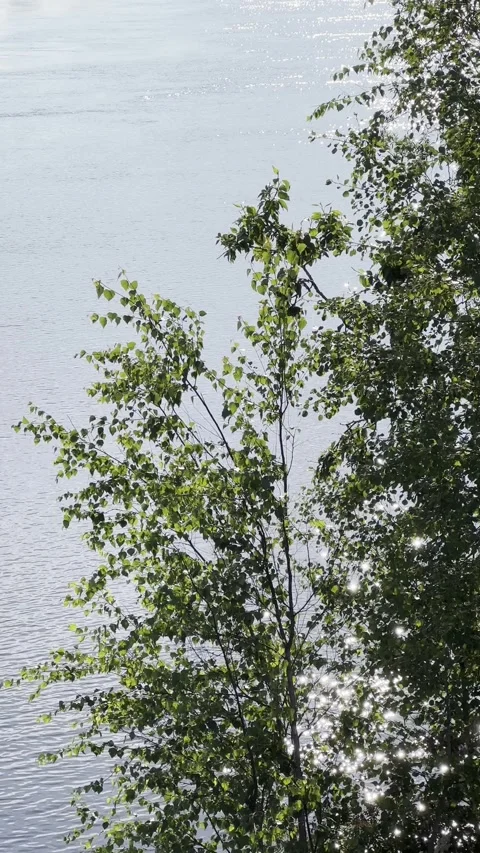 Sun sparkling on Oulujoki river, vertical, Oulu Finland Stock Footage 247172810