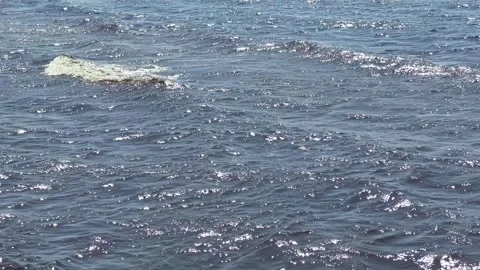 Sun sparkling on sea surface, Oulu Finland Stock-Footage 311922019
