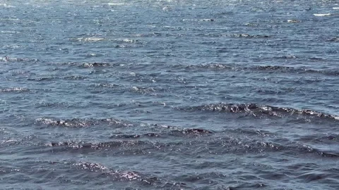 Sun sparkling on sea surface, Oulu Finland Stock-Footage 311922591