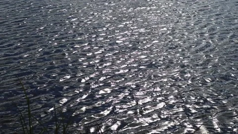 Sun sparkling on water Stock Footage 211605794