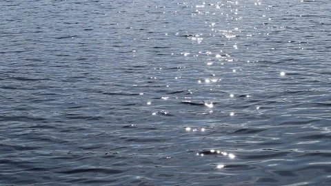 Sun sparkling on water surface Stock Footage 115629281