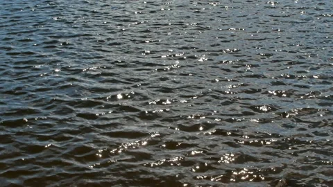 Sun sparkling on water surface Stock Footage 201515588