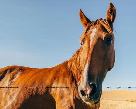 Sun Splashed Fotos de archivo