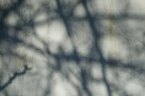 Sun spots Stock Photos