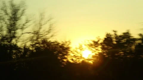 Sun squall trees Stockbeeldmateriaal 97815709