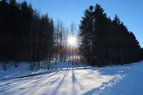 Sun standing low and shining through the forest in a winter landscape, Wertac Foto stock