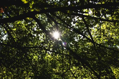 Sun star filtering Stock Photos