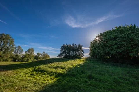 A sun star shines through the trees on a beautiful summer day in the park Stock Photos