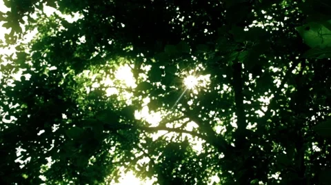 Sun Storm in to the Shadows Stock Footage 67077683