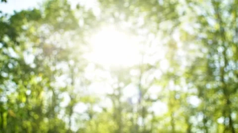 Sun streaming through the tree tops Vídeo Stock 153859623