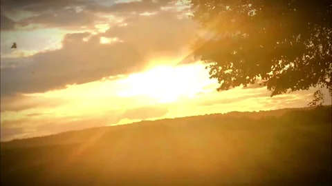 Sun Stripes Stock Footage 345679007