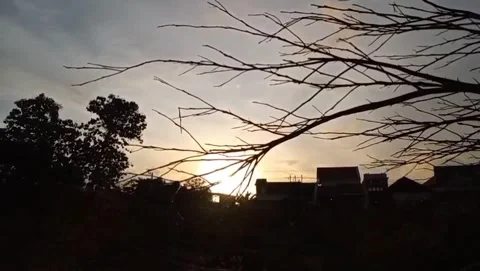 Sun Sunset appears behind the silhouette of dry branches. Video stock 325103218