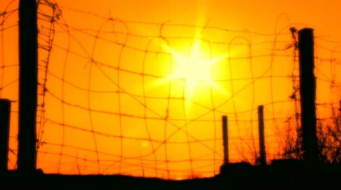 Sun at sunset behind barbed wire Stock Footage 30426908
