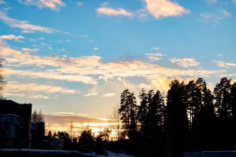 The sun at sunset behind the trees Stock Photos