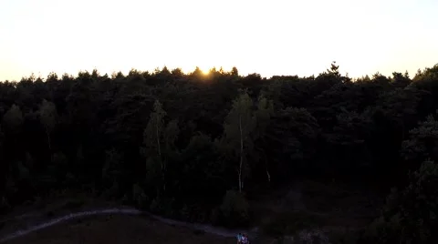 Sun at Sunset in forest, drone shot Stock Footage 40052221