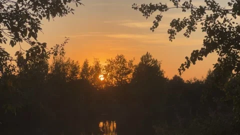 The Sun At Sunset In The Forest Stock Footage 250624684