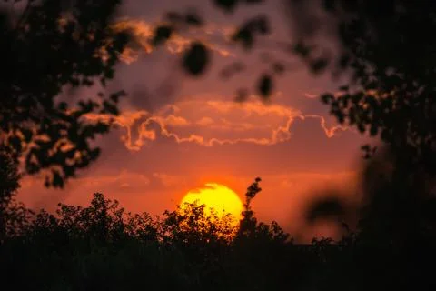 Sun on sunset. Stock Photos