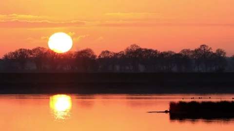 Sun sunset reflected in the water, nature reserve lake for birds Stock Footage 188536646