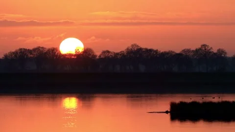 Sun sunset reflected in the water, nature reserve lake for birds Stock Footage 194538088