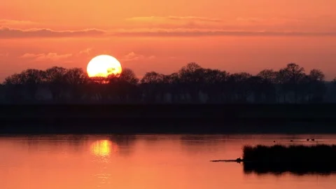 Sun sunset reflected in the water, nature reserve lake for birds Stock Footage 196972350