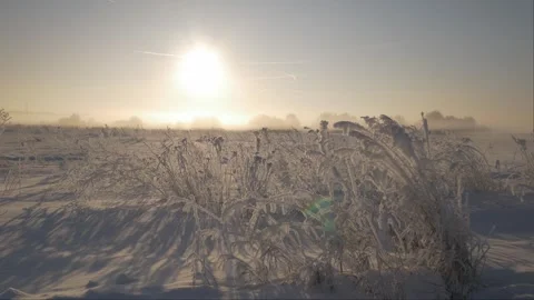 The sun at sunset in a snow-covered field Stock Footage 274890779