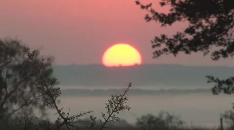 Sun texas 11 Stock Footage 917877