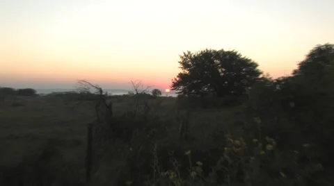 Sun texas 12 Stock Footage 917873