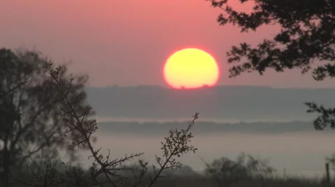 Sun texas 13 Stock Footage 917870